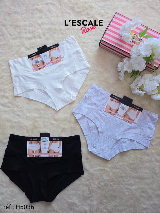 Culotte Taille haute H5036