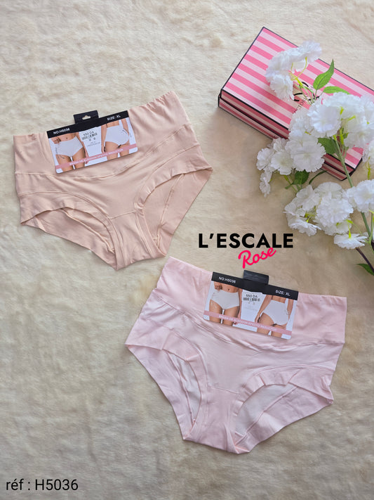 Culotte Taille haute H5036