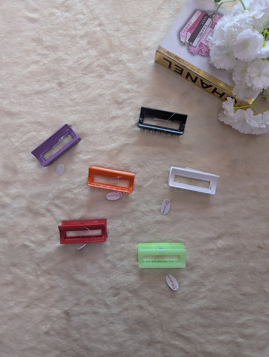 Grosse Pince Cheveux